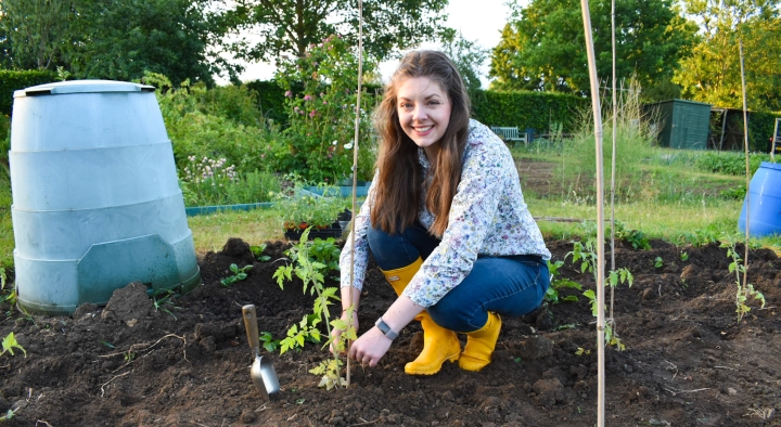 Top 5 Tips for Allotment Beginners